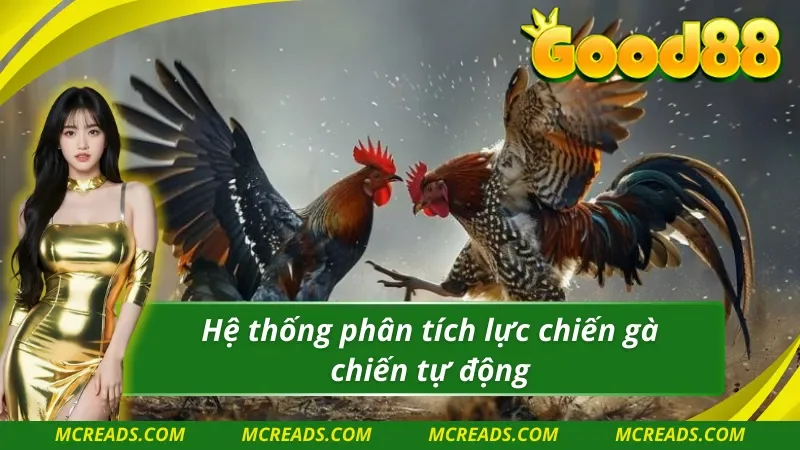 Ws168 đá gà có hỗ trợ hệ thống phân tích chiến lược rõ ràng
