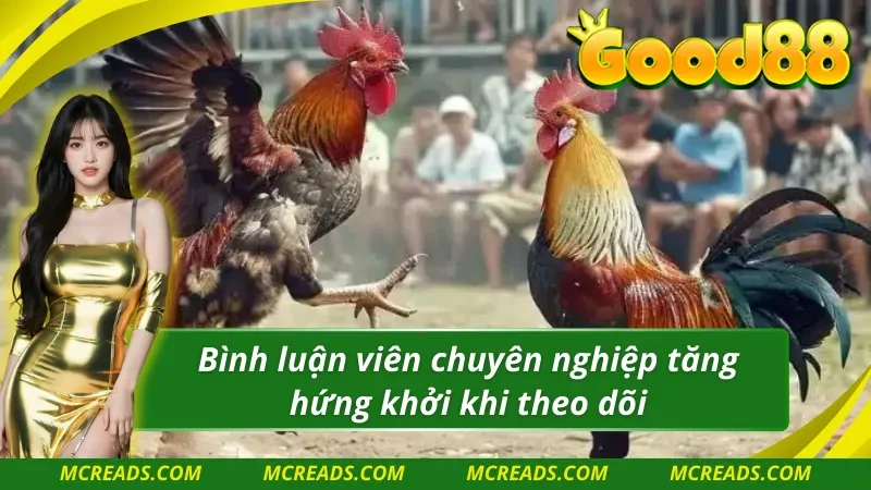 Ws168 đá gà đào tạo bình luận viên rất chuyên nghiệp