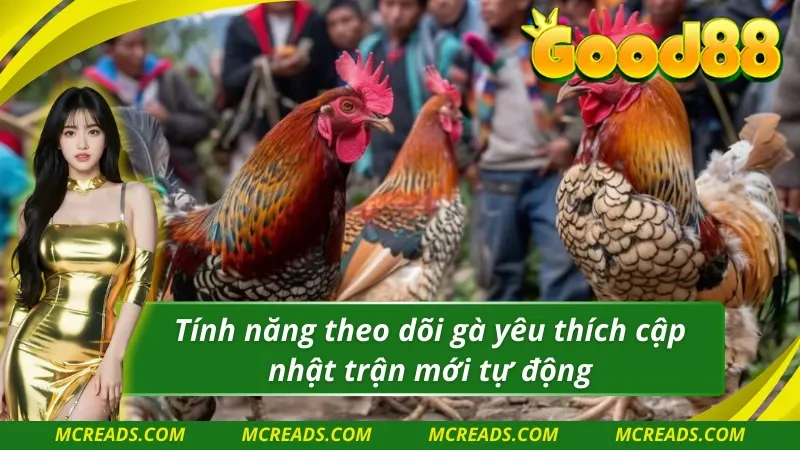 Ws168 đá gà hỗ trợ phục vụ hội viên cập nhật thông tin nhanh nhất